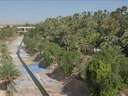 Local comercial en venta en Elche/Elx