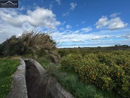 Parcela rústica en venta en Palma de Gandía