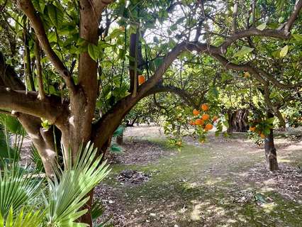 Parcela rústica en venta en Elche/Elx