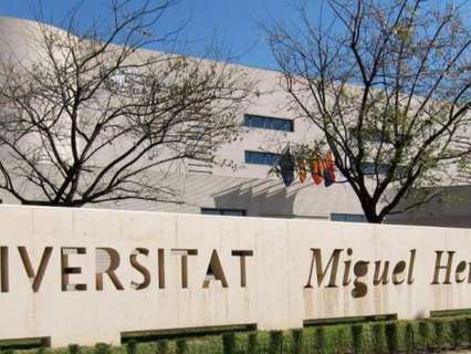 Piso en alquiler en Elche/Elx