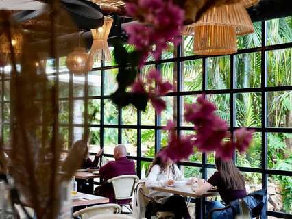 Local comercial en venta en Elche/Elx