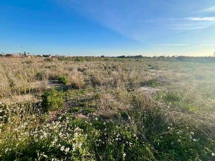 Parcela rústica en venta en Elche/Elx