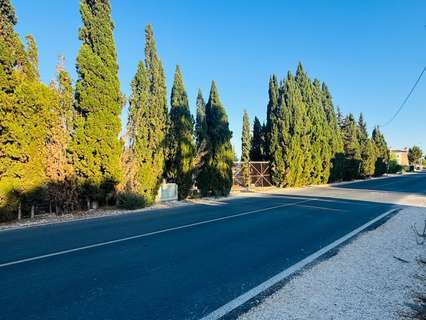 Chalet en alquiler en Elche/Elx zona Matola