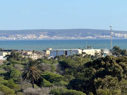 Piso en venta en Guardamar del Segura