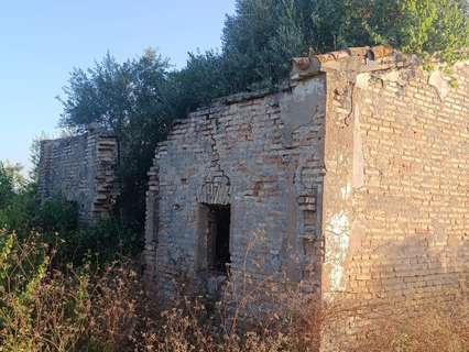 Parcela rústica en venta en Almonte rebajada