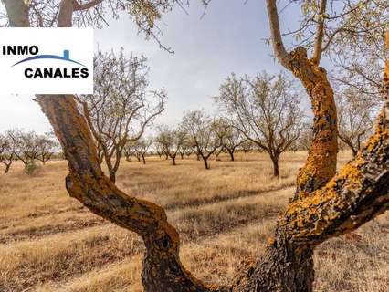 Parcela rústica en venta en Padul