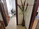 Piso en alquiler en Málaga
