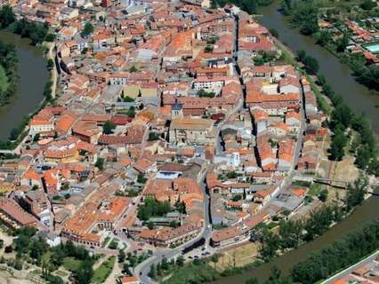 Parcela rústica en venta en Tudela de Duero
