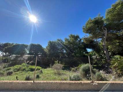 Parcela rústica en venta en Orihuela zona Dehesa de Campoamor