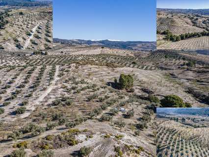 Parcela rústica en venta en Jayena