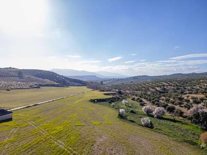 Parcela rústica en venta en Jayena