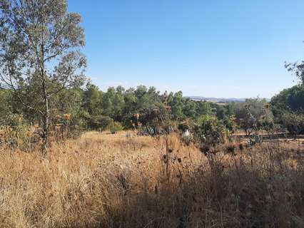 Parcela rústica en venta en Cáceres