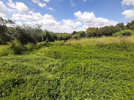 Parcela rústica en venta en Montánchez