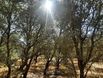 Parcela rústica en venta en Torreorgaz