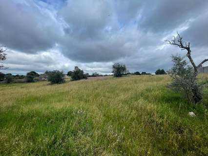 Parcela rústica en venta en Malpartida de Cáceres