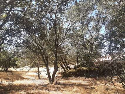 Parcela rústica en venta en Torreorgaz