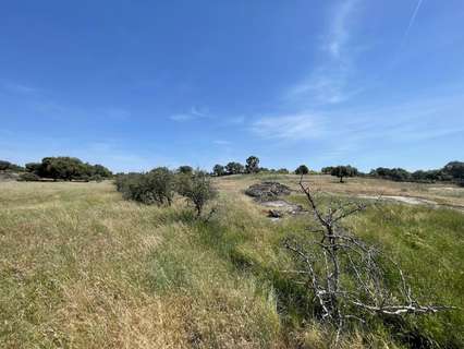 Parcela rústica en venta en Arroyo de la Luz