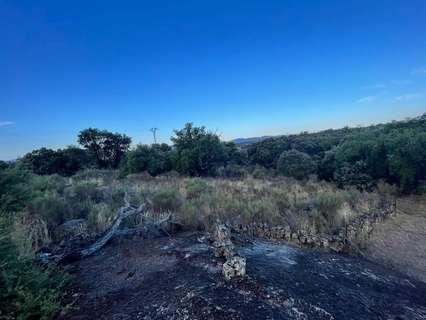 Parcela rústica en venta en Aldea del Cano