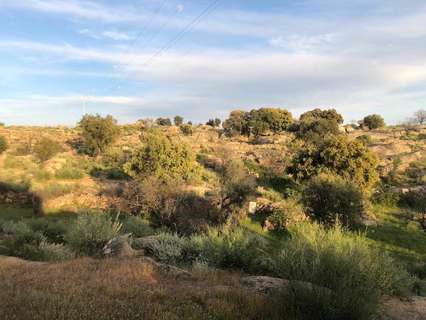 Parcela rústica en venta en Aldea del Cano