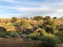 Parcela rústica en venta en Aldea del Cano