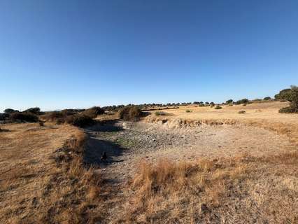 Parcela rústica en venta en Malpartida de Cáceres