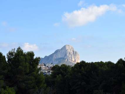 Parcela rústica en venta en Calpe