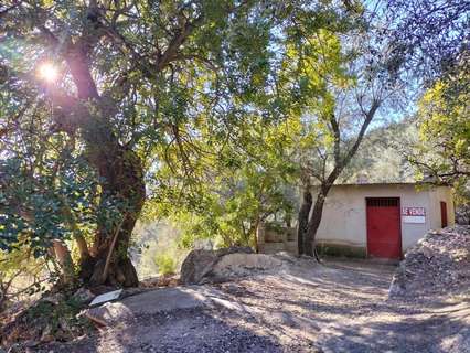 Casa rústica en venta en El Pinar zona Pinos del Valle