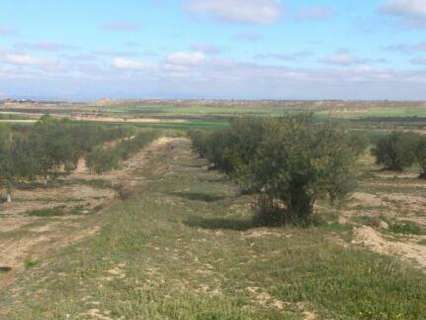 Parcela en venta en Sant Martí de Riucorb