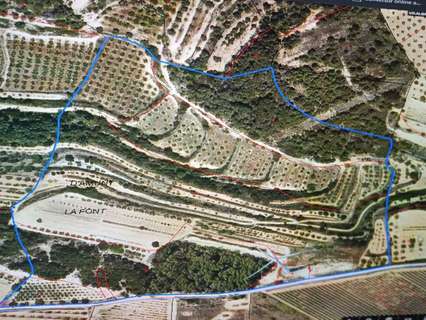 Parcela en venta en Vilalba dels Arcs rebajada