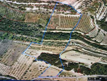 Parcela en venta en Vilalba dels Arcs rebajada