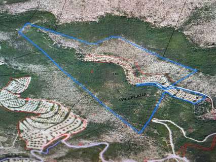 Parcela en venta en Vilalba dels Arcs rebajada