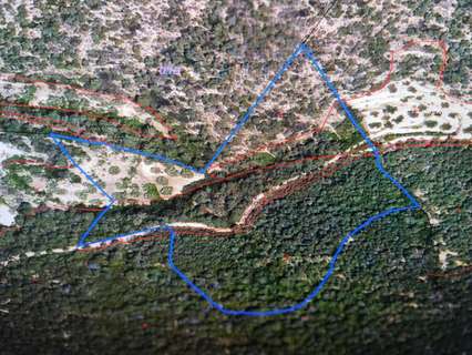 Parcela en venta en La Fatarella rebajada