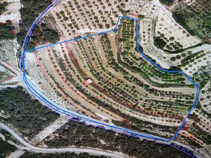 Parcela en venta en La Fatarella rebajada