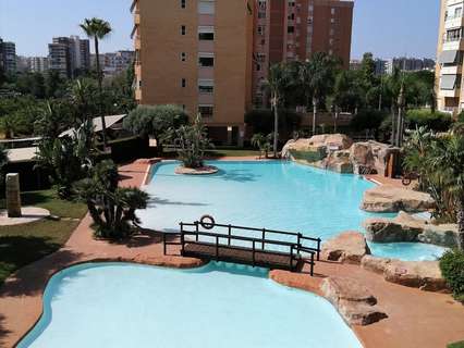 Piso en alquiler en Alicante