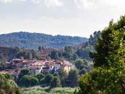 Parcela rústica en venta en Sellent