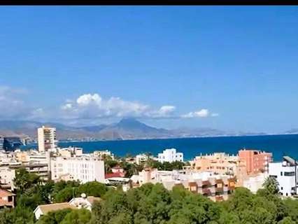 Piso en alquiler en Alicante
