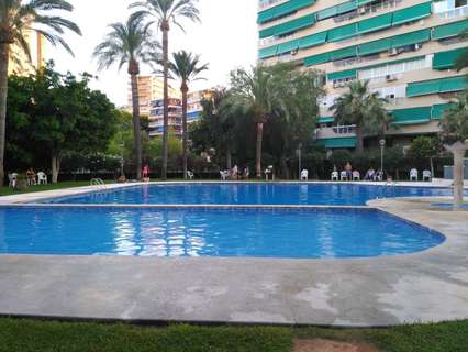Piso en alquiler en Alicante