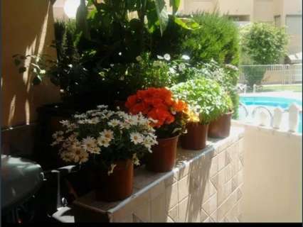 Bungalow en venta en Sant Vicent del Raspeig