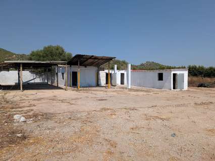 Parcela rústica en venta en Alfarp