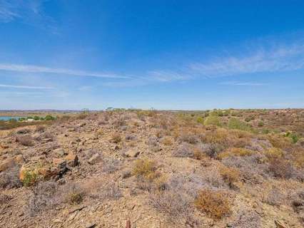 Parcela rústica en venta en Ayamonte