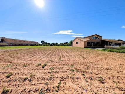 Parcela rústica en venta en L'Aldea