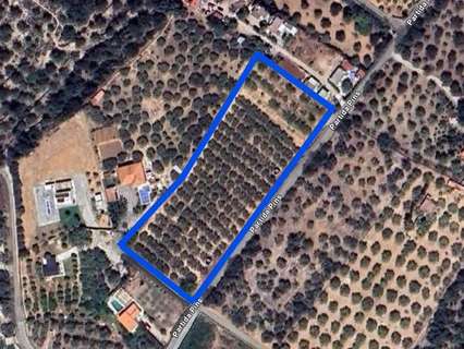 Parcela rústica en venta en Masdenverge