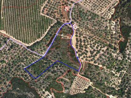 Parcela rústica en venta en Freginals