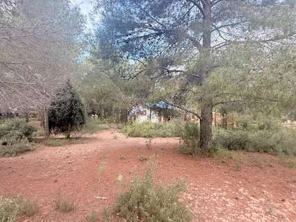 Parcela urbana en venta en Albalat dels Tarongers