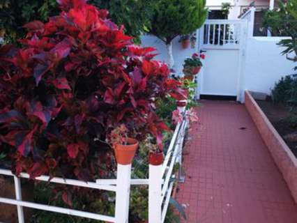 Casa en alquiler en Puerto de la Cruz rebajada