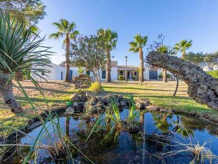 Casa en alquiler en Tarifa rebajada