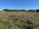 Parcela rústica en venta en Santa Margalida
