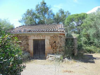 Parcela rústica en venta en Sencelles