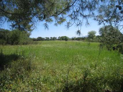 Casa rústica en venta en Maria de la Salut