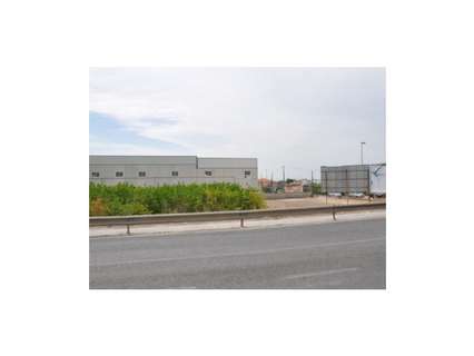 Parcela en venta en Murcia zona San José de la Vega